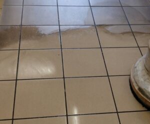 LIMPIEZA  Y DESINFECCIÓN PROFUNDA DE SUELOS